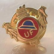 Pin s